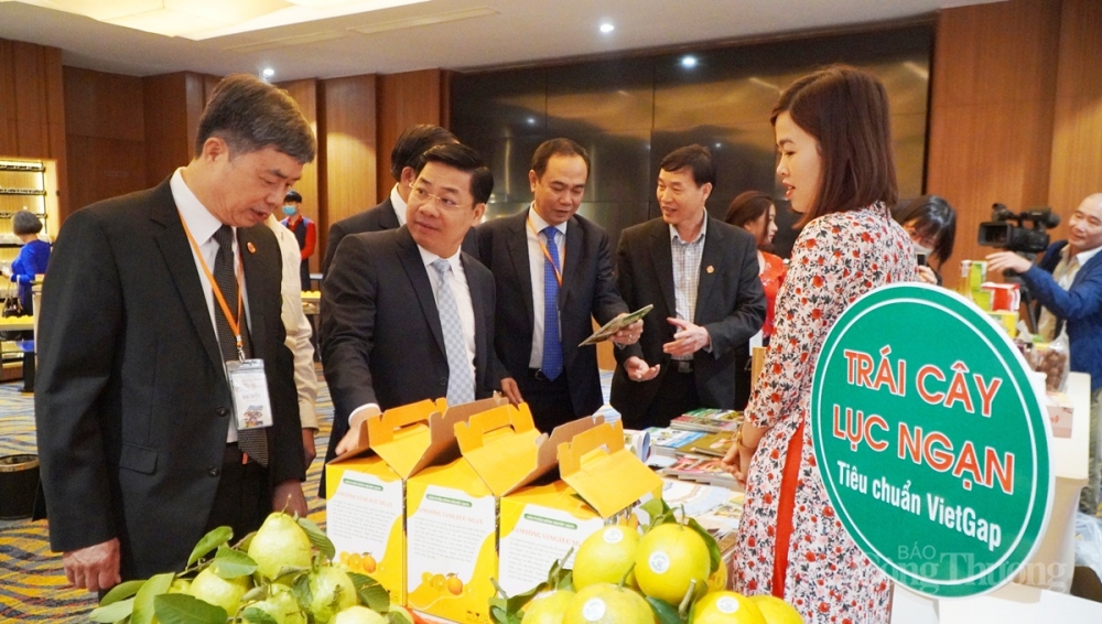 2215-lien-ket-du-lich-6