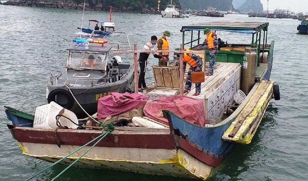 Bè mảng chở 2.300kg cá tầm không rõ nguồn gốc bị phát hiện (Ảnh Tấn Trường) Bè mảng chở 2.300kg cá tầm không rõ nguồn gốc bị phát hiện (Ảnh Tấn Trường)