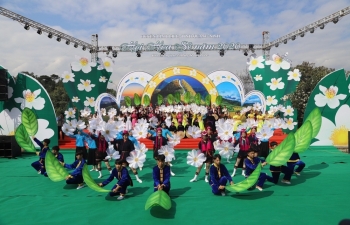 Hội hoa Sở Bình Liêu năm 2020 hút khách du lịch trong ngày khai mạc