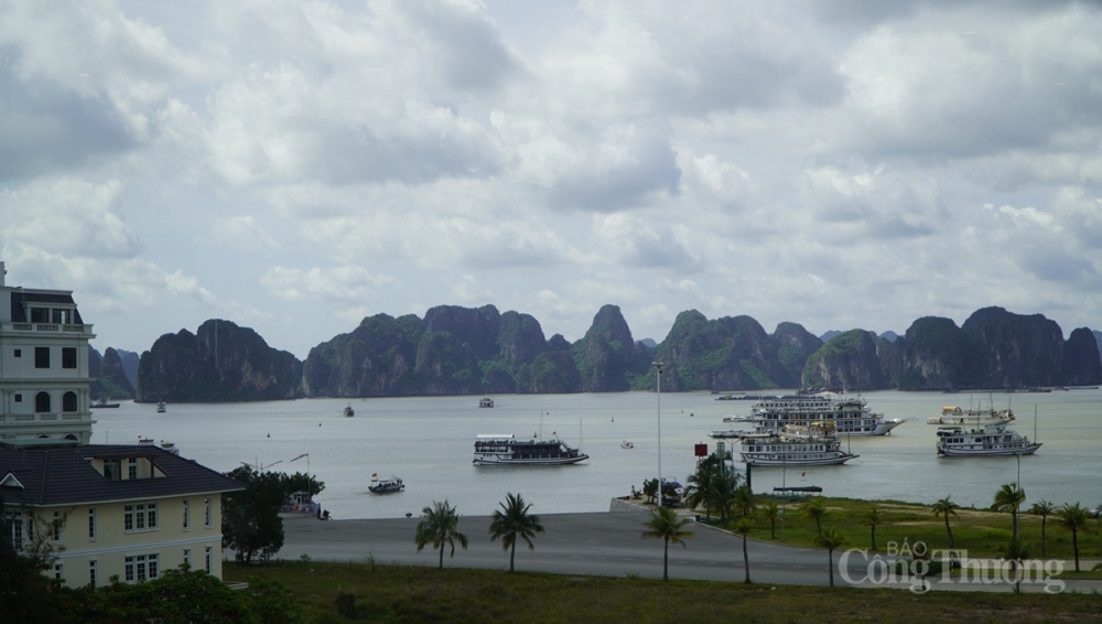 Sẽ sẽ có khoảng hơn 100 tàu du lịch diễu hành quanh sân khấu Sẽ sẽ có khoảng hơn 100 tàu du lịch diễu hành quanh sân khấu