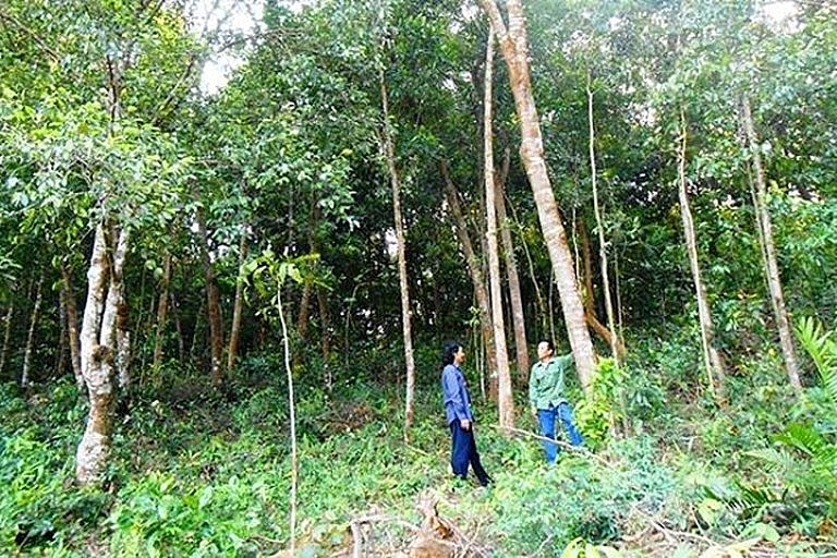 5716-e8a4bba2fee217bc4ef3