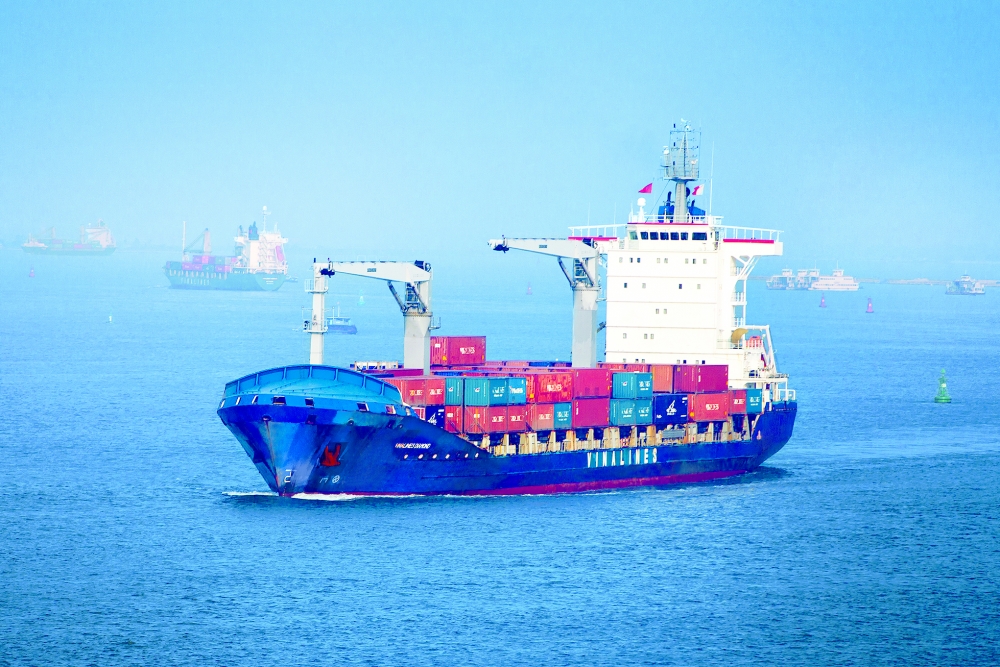 vinalines accelerates equitization