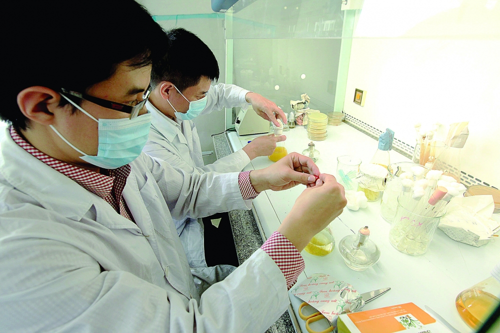 vietnams drive to integrate sci tech into production