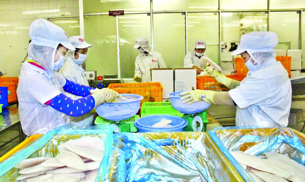 international institutions ease sme credit crunch