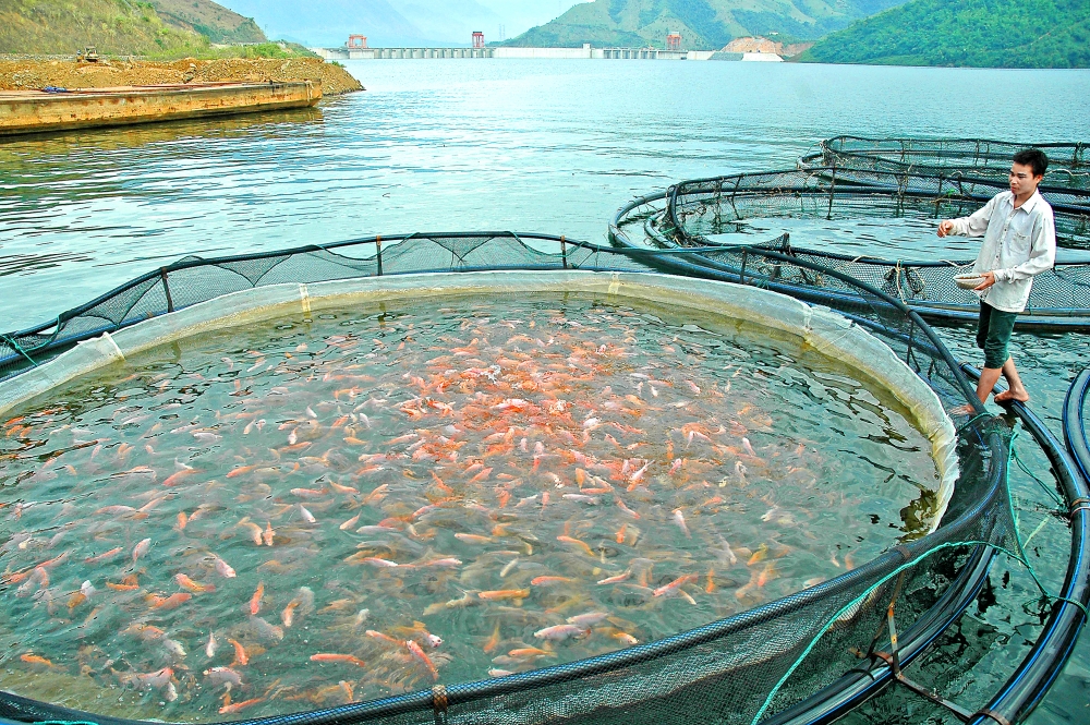 high demand for fishery products attracts investment capital