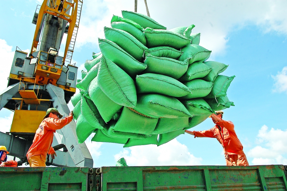 Vietnam’s rice exports boom, outpacing other produce exports vietnams rice exports boom outpacing other produce exports