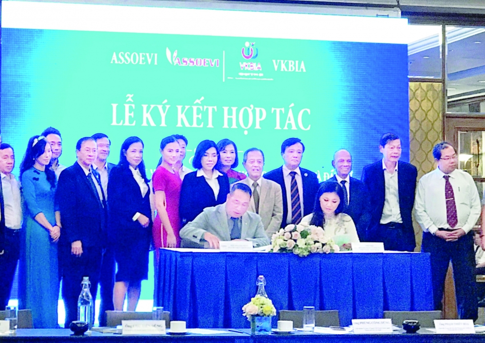 overseas vietnamese businesses mobilize to develop hcmc