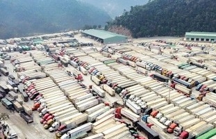 Xuất khẩu hàng hóa sang Trung Quốc khởi sắc