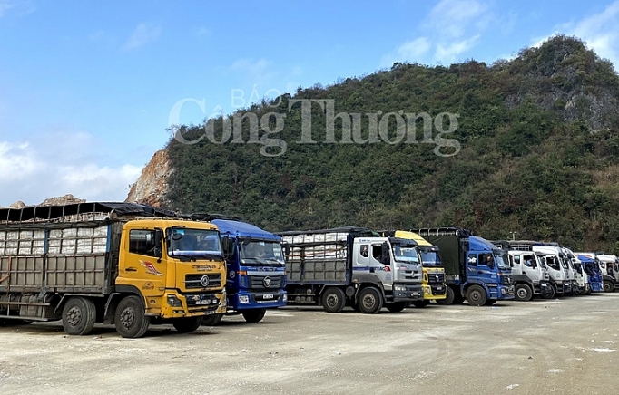 “Thông đường” xuất khẩu nông sản ngay từ đầu năm thong duong xuat khau nong san ngay tu dau nam