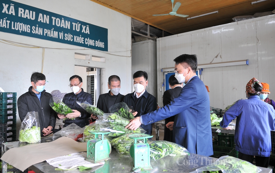 Phú Thọ: Tập trung phát triển các vùng sản xuất thực phẩm an toàn, hướng tới xuất khẩu Phú Thọ: Tập trung phát triển các vùng sản xuất thực phẩm an toàn, hướng tới xuất khẩu