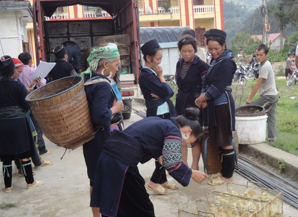 Nhịp sống mới ở xã vùng cao Tả Phìn