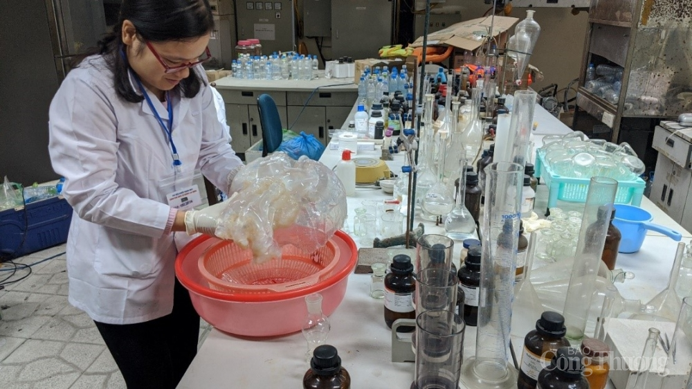 Tách chiết collagen từ sứa biển: Tiềm năng thương mại hóa lớn Tách chiết collagen từ sứa biển: Tiềm năng thương mại hóa lớn