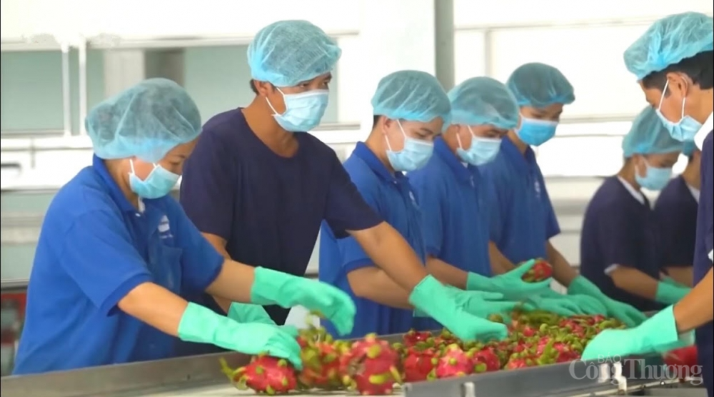 Công nghiệp chế biến nông sản: Cần đẩy mạnh ứng dụng, chuyển giao công nghệ Công nghiệp chế biến nông sản: Cần đẩy mạnh ứng dụng, chuyển giao công nghệ