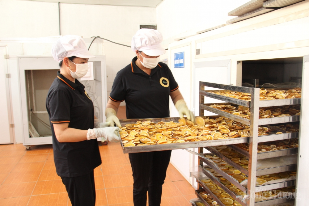 Đưa Sơn La trở thành trung tâm chế biến nông sản vùng Tây Bắc - Bài 1: Sản xuất nông nghiệp gắn với công nghiệp chế biến Đưa Sơn La trở thành trung tâm chế biến nông sản vùng Tây Bắc - Bài 1: Sản xuất nông nghiệp gắn với công nghiệp chế biến