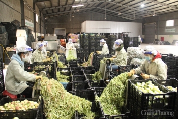 Đưa Sơn La trở thành trung tâm chế biến nông sản vùng Tây Bắc - Bài 2: Logistics giúp nông sản tăng mạch lưu thông