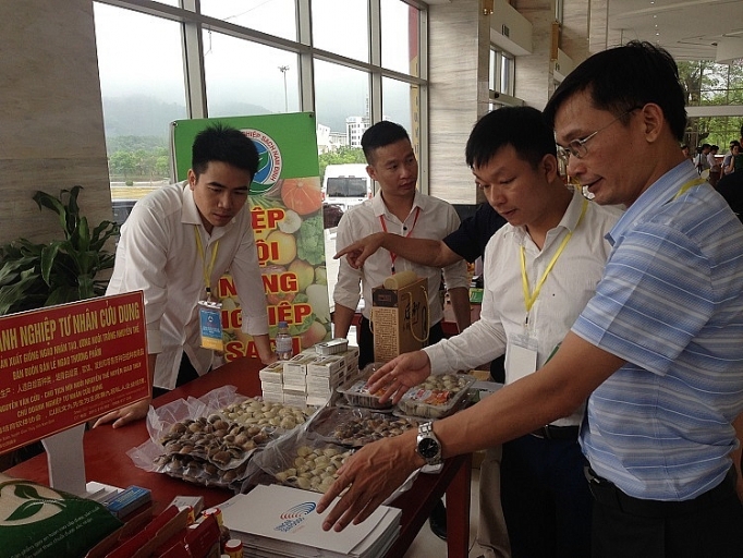 Việt Nam - Trung Quốc: Sôi động kết nối xuất nhập khẩu nông, thủy sản viet nam trung quoc soi dong ket noi xuat nhap khau nong thuy san