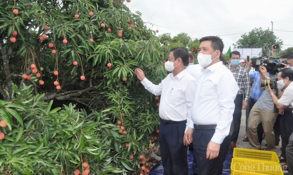 Bộ Công Thương luôn đồng hành cùng Hải Dương trong tiêu thụ vải thiều và nông sản