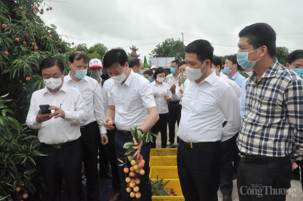 Bộ Công Thương luôn đồng hành cùng Hải Dương trong tiêu thụ vải thiều và nông sản