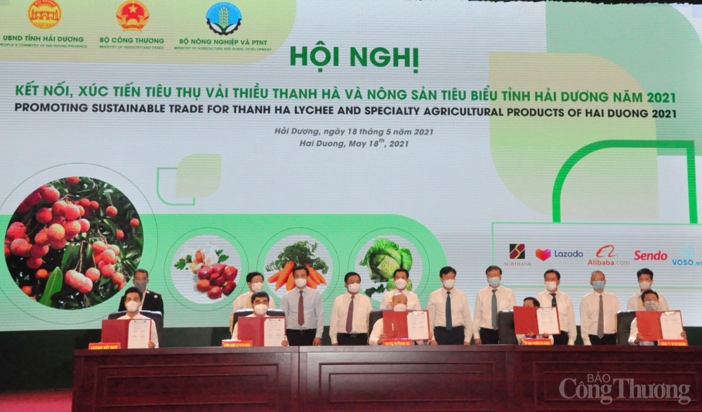 Bộ Công Thương luôn đồng hành cùng Hải Dương trong tiêu thụ vải thiều và nông sản