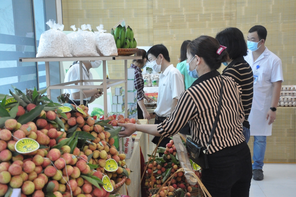 Hải Dương: Xúc tiến thương mại vải thiều và sản phẩm tiêu biểu
