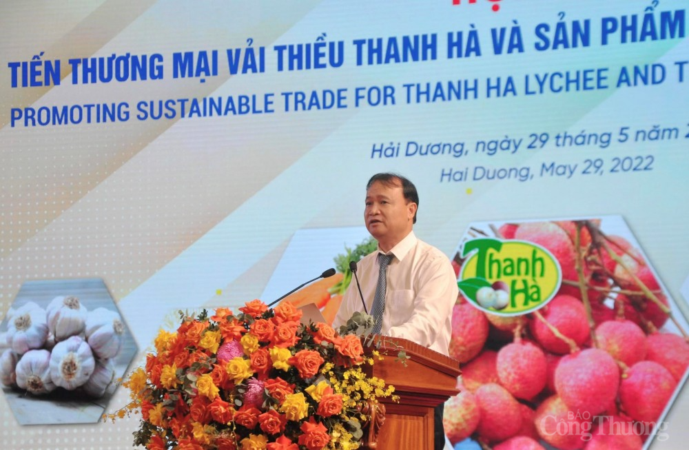 Bộ Công Thương đẩy mạnh hỗ trợ Hải Dương xúc tiến tiêu thụ vải thiều Bộ Công Thương đẩy mạnh hỗ trợ Hải Dương xúc tiến tiêu thụ vải thiều