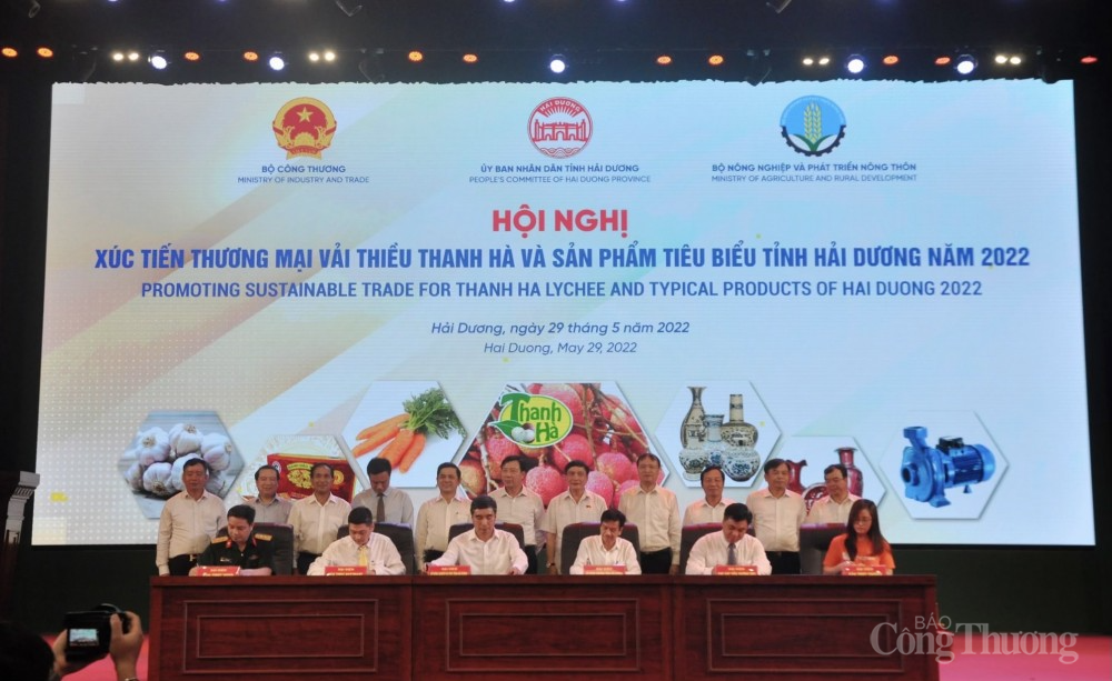 Bộ Công Thương đẩy mạnh hỗ trợ Hải Dương xúc tiến tiêu thụ vải thiều Bộ Công Thương đẩy mạnh hỗ trợ Hải Dương xúc tiến tiêu thụ vải thiều