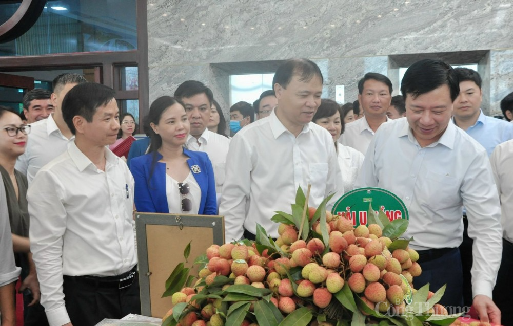 Bộ Công Thương đẩy mạnh hỗ trợ Hải Dương xúc tiến tiêu thụ vải thiều Bộ Công Thương đẩy mạnh hỗ trợ Hải Dương xúc tiến tiêu thụ vải thiều