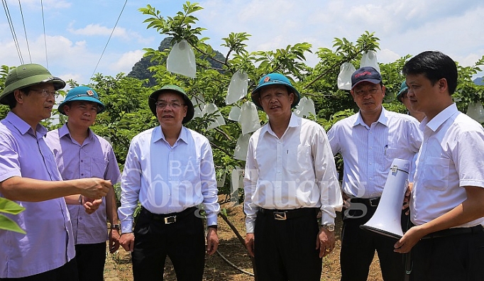 lang son dua khoa hoc va cong nghe phat trien san pham chu luc