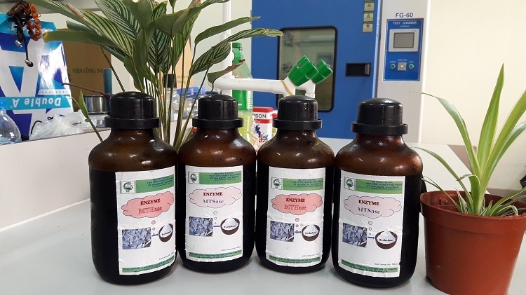 Tiên phong sản xuất đường trehalose từ tinh bột sắn tien phong san xuat duong trehalose tu tinh bot san