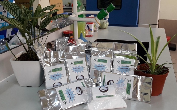 Tiên phong sản xuất đường trehalose từ tinh bột sắn tien phong san xuat duong trehalose tu tinh bot san