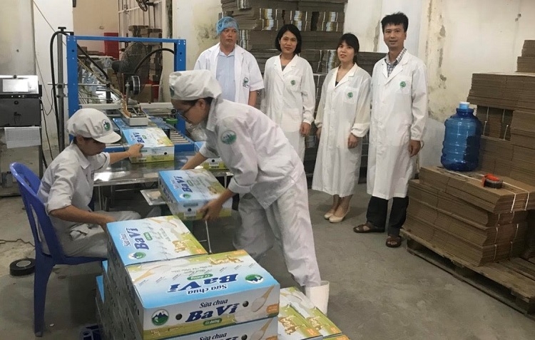 Tiên phong sản xuất đường trehalose từ tinh bột sắn tien phong san xuat duong trehalose tu tinh bot san
