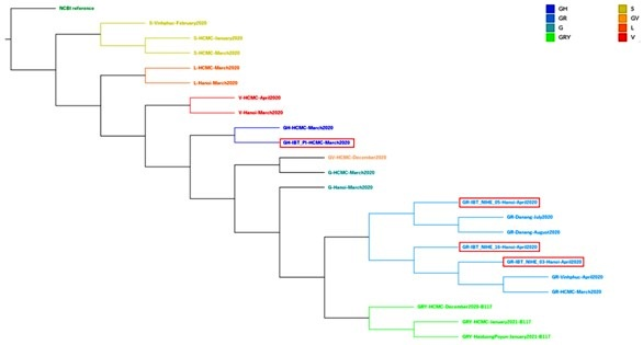 Cây phân loại cho thấy sự tiến hóa của SARS-CoV-2 cũng như thời điểm các chủng lần lượt xâm nhập vào Việt Nam