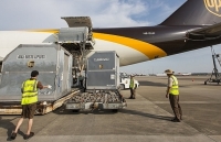 UPS giúp đẩy mạnh khả năng cạnh tranh của doanh nghiệp Việt Nam