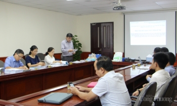 Chế phẩm sinh học phân hủy nhựa cây: Hóa giải thách thức trong sản xuất giấy