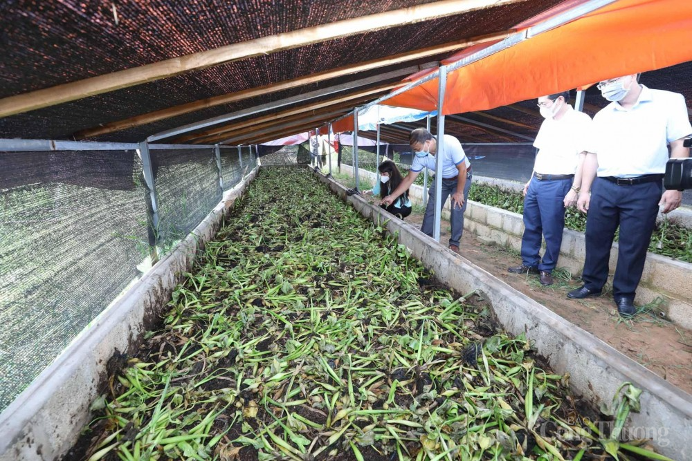 Bài 2: Đột phá vào các "điểm nghẽn" Bài 2: Đột phá vào các "điểm nghẽn"