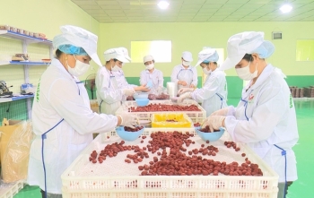 Khoa học và công nghệ: Đòn bẩy đưa nông sản vươn xa trong bối cảnh hội nhập