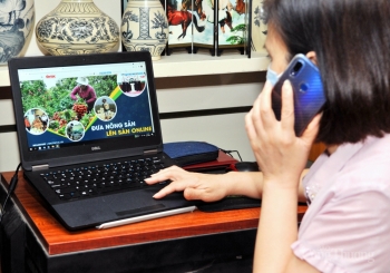 Sẽ đưa 5 triệu hộ sản xuất nông nghiệp lên sàn thương mại điện tử trong năm 2021