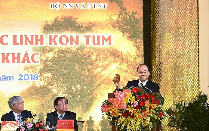 Thủ tướng Nguyễn Xuân Phúc: Có thể đưa "quốc bảo" sâm Ngọc Linh thành "quốc kế dân sinh" thu tuong nguyen xuan phuc co the dua quoc bao sam ngoc linh thanh quoc ke dan sinh