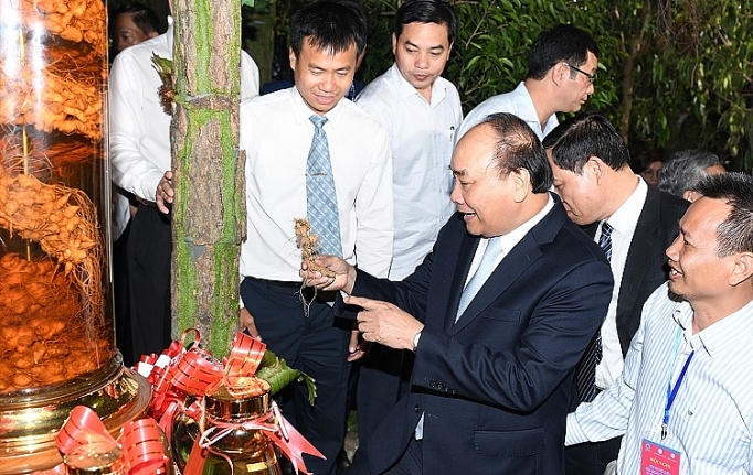 Thủ tướng Nguyễn Xuân Phúc: Có thể đưa "quốc bảo" sâm Ngọc Linh thành "quốc kế dân sinh" thu tuong nguyen xuan phuc co the dua quoc bao sam ngoc linh thanh quoc ke dan sinh