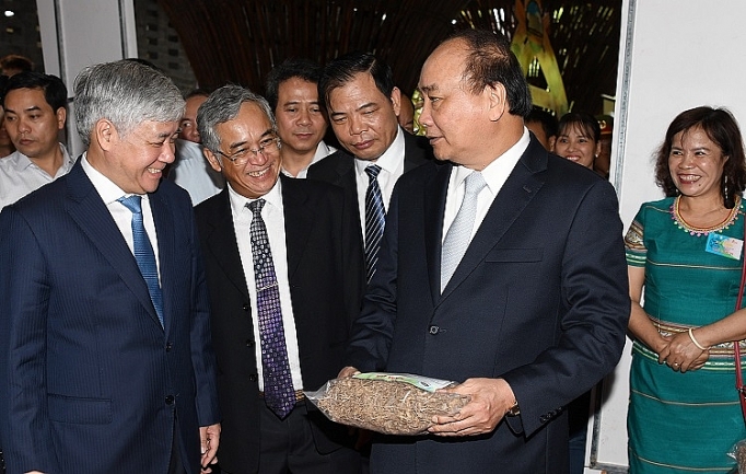 Thủ tướng Nguyễn Xuân Phúc: Có thể đưa "quốc bảo" sâm Ngọc Linh thành "quốc kế dân sinh" thu tuong nguyen xuan phuc co the dua quoc bao sam ngoc linh thanh quoc ke dan sinh