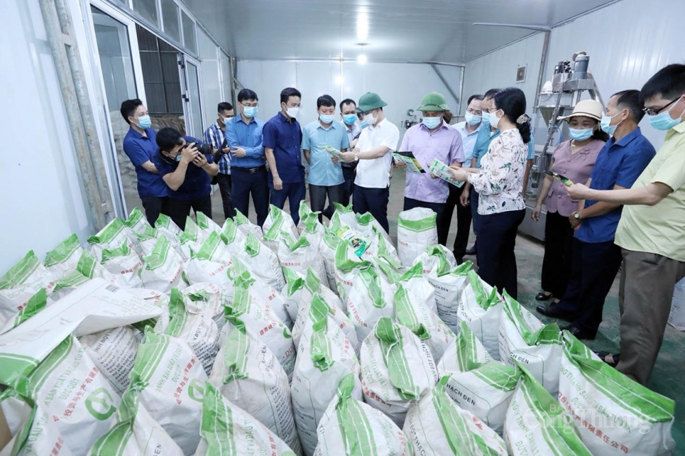 Kim ngạch xuất nhập khẩu qua Lạng Sơn đạt 1,2 tỷ USD trong 6 tháng Kim ngạch xuất nhập khẩu qua Lạng Sơn đạt 1,2 tỷ USD trong 6 tháng