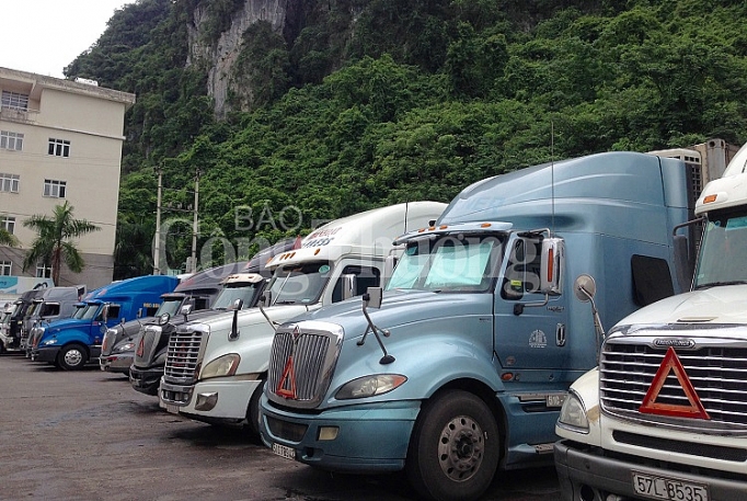 Xuất khẩu nông sản sang Trung Quốc: Doanh nghiệp cần thay đổi tư duy xuat khau nong san sang trung quoc doanh nghiep can thay doi tu duy