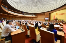 Không vì tăng trưởng, thành tích địa phương mà cấp phép ồ ạt dự án FDI