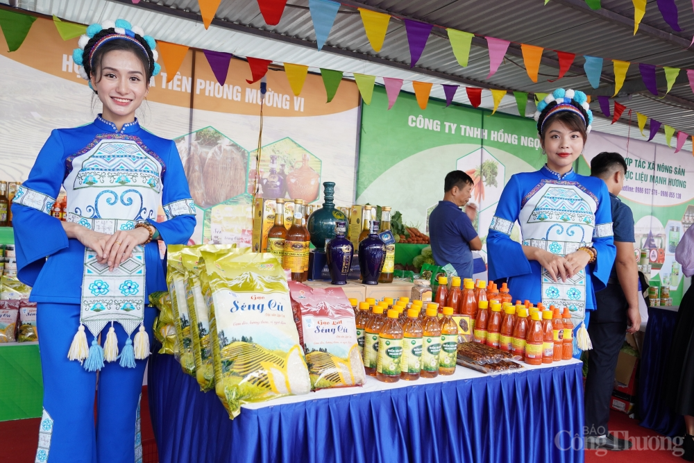 Kết nối, phát triển thị trường cho sản phẩm quýt Mường Khương và nông nghiệp tỉnh Lào Cai