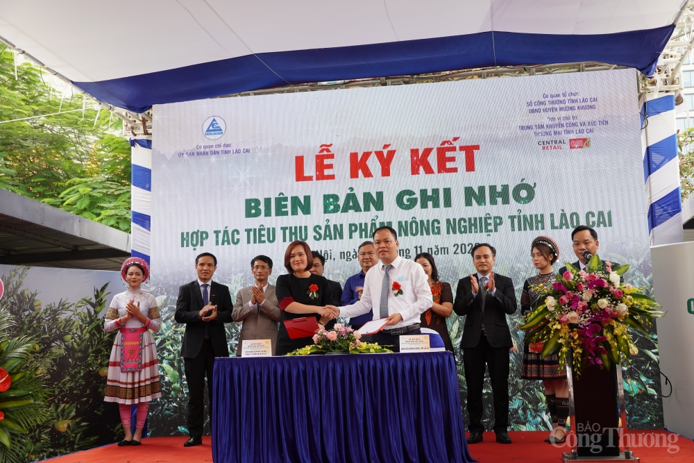 Kết nối, phát triển thị trường cho sản phẩm quýt Mường Khương và nông nghiệp tỉnh Lào Cai