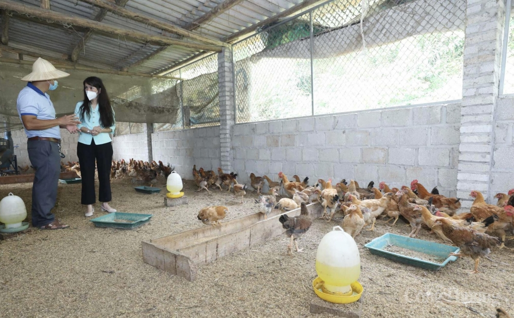 Lạng Sơn: Mục tiêu đến năm 2030 không còn huyện nghèo Lạng Sơn: Mục tiêu đến năm 2030 không còn huyện nghèo
