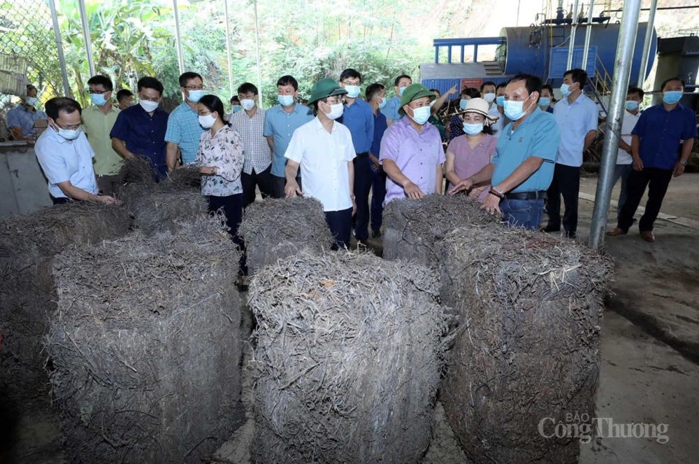 Lạng Sơn: Tập trung nguồn lực để vùng đồng bào dân tộc thiểu số và miền núi bứt phá
