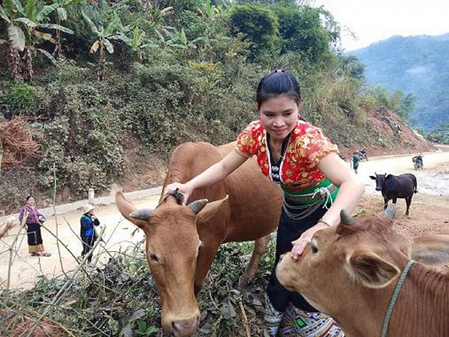 Ngành Lao động, Thương Binh và Xã hội Thanh Hóa nỗ lực hoàn thành tốt nhiệm vụ năm 2022 Ngành Lao động, Thương Binh và Xã hội Thanh Hóa nỗ lực hoàn thành tốt nhiệm vụ năm 2022