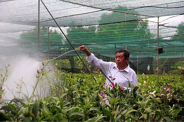 chua tet vua hoa lan khung tai tphcm da chay hang