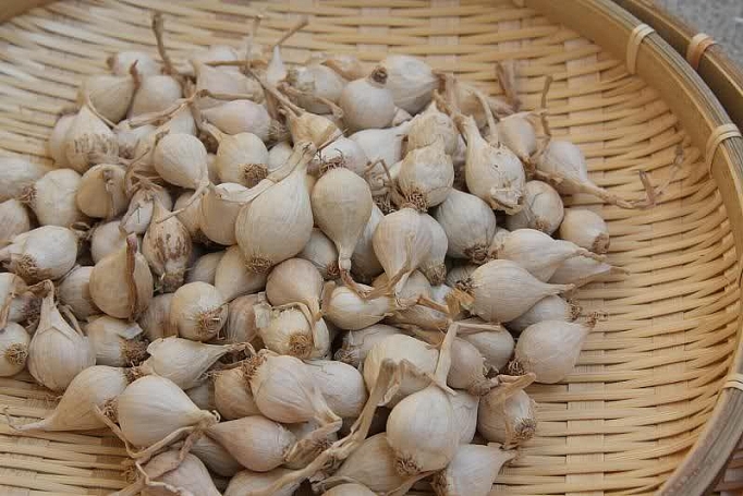 toi ly son duoc mua lai rot gia the tham